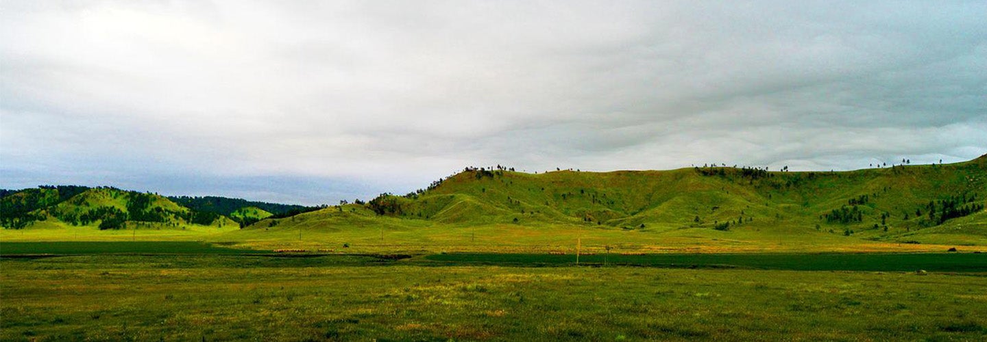 Martin Jurisch & Associates Land Auction