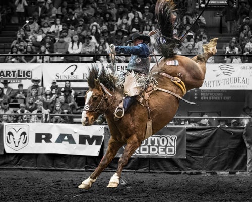 More Info for Rodeo Rapid City PRCA Rodeo 2023