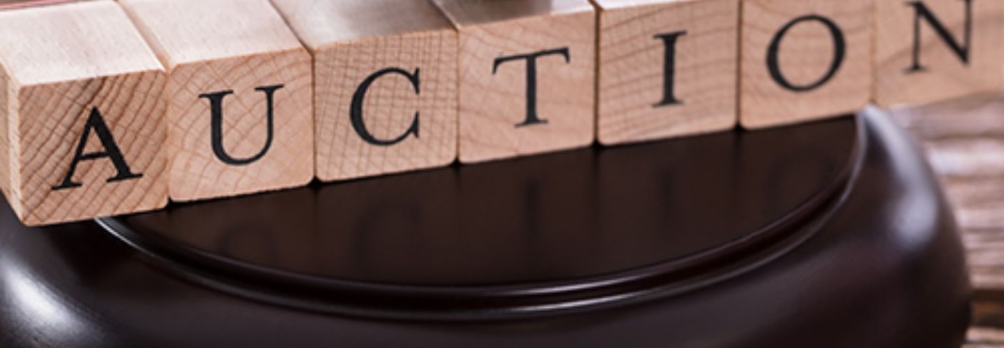 Post 22 First Pitch Auction