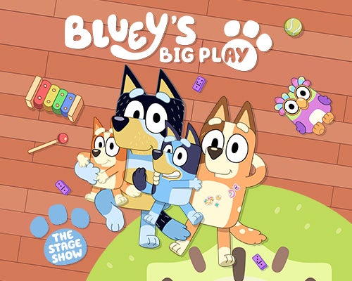 More Info for Bluey's Big Play