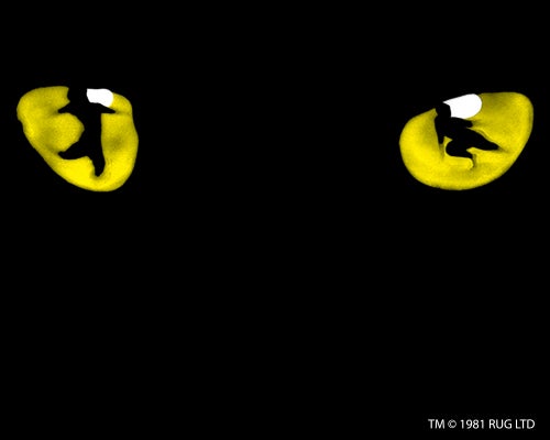 More Info for CATS