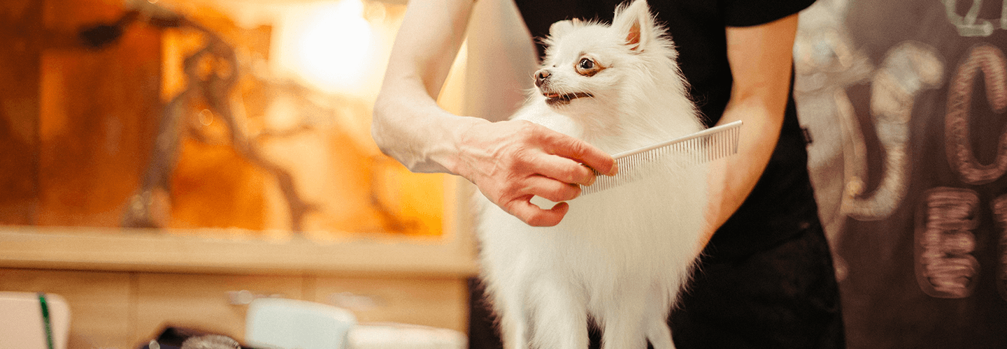 Rapid City Kennel Club Annual Dog Show