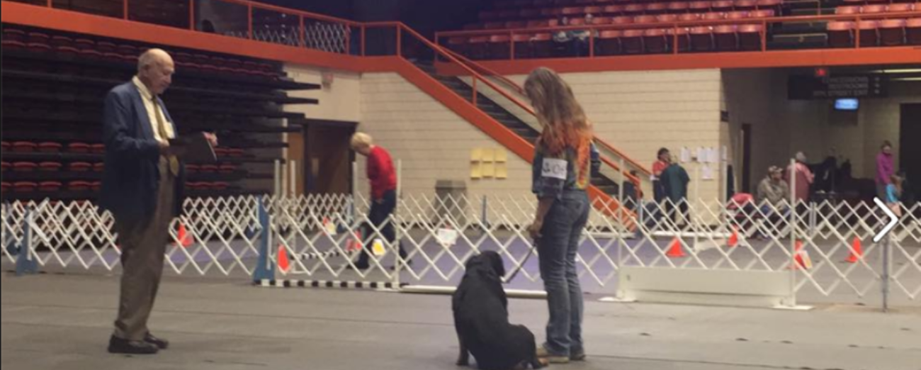 Black HIlls Dog Training Club Obedience Trails