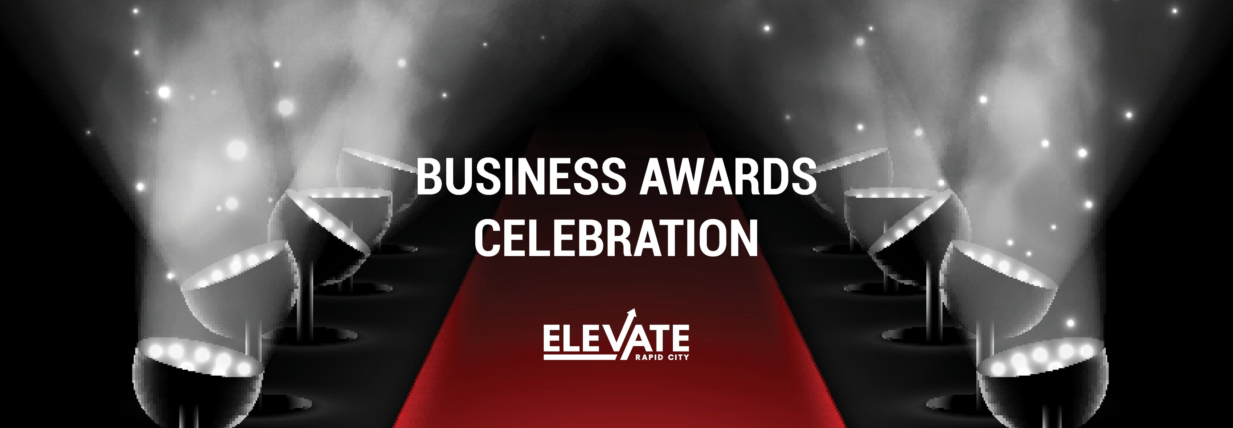 Elevate Business Awards Night