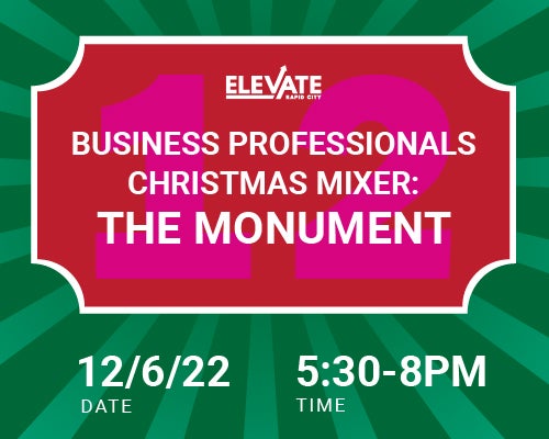 More Info for Business Professionals Christmas Mixer