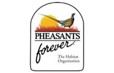 thumbnail image 2 of Pheasants Forever Member Sticker Decal – 2.25" X 3" Multi-Color, Made In USA 2 of 5