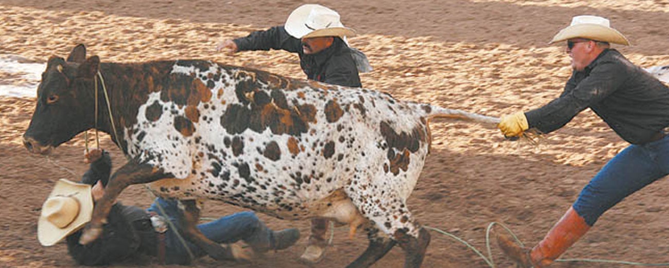 Rodeo Rapid City Ranch Rodeo Finals 2020