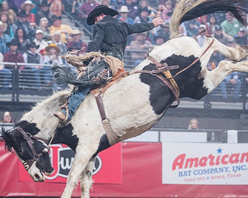 More Info for Rodeo Rapid City Xtreme Broncs 2024